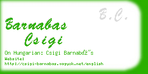 barnabas csigi business card